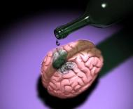 Вред употребления алкоголя при сотрясении мозга